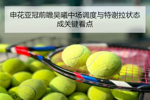 申花亚冠前瞻吴曦中场调度与特谢拉状态成关键看点